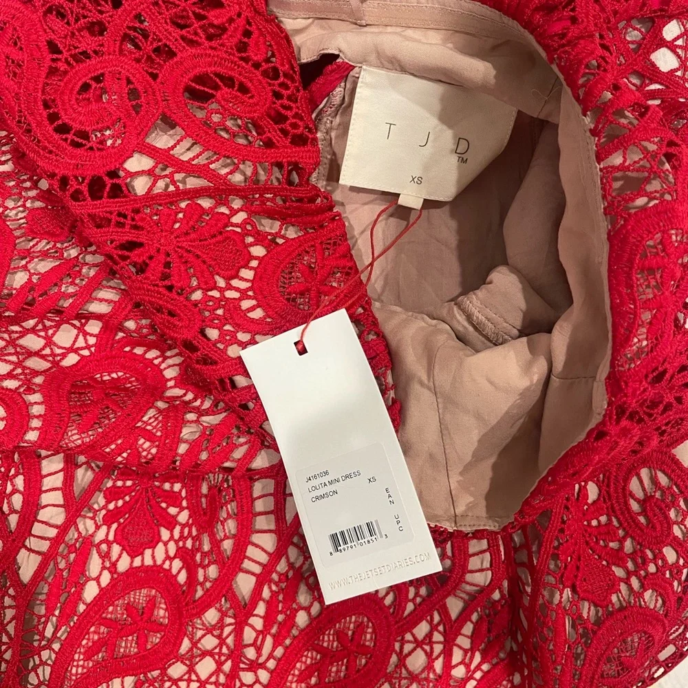 The Jetset Diaries Red Lace Mini Dress - Picture 4 of 4